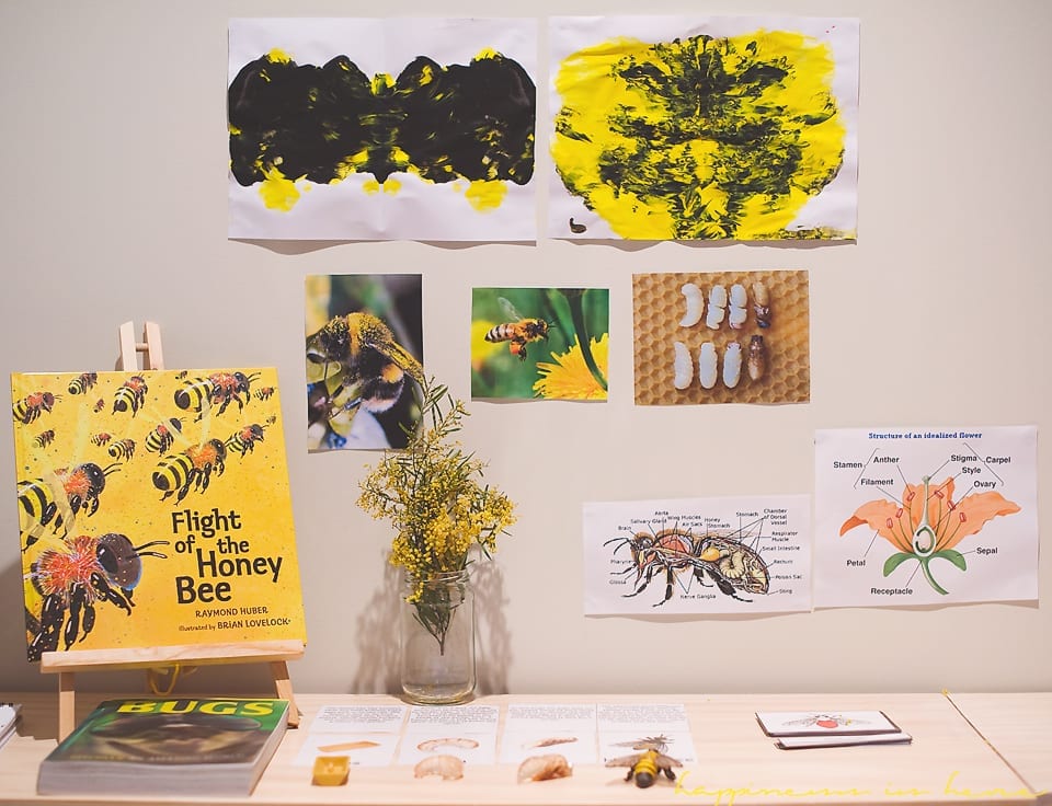 Método Montessori actividades con abejas 08